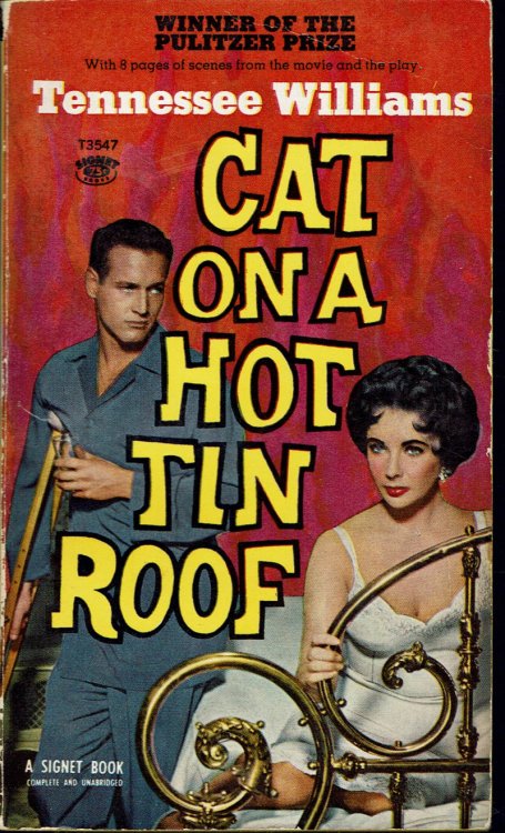 Cat on a Hot Tin Roof