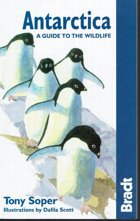 Antarctica: A Guide to the Wildlife 5th (Bradt Guides)