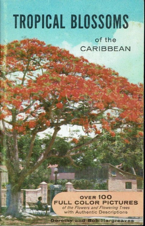 Tropical Blossoms of the Caribbean