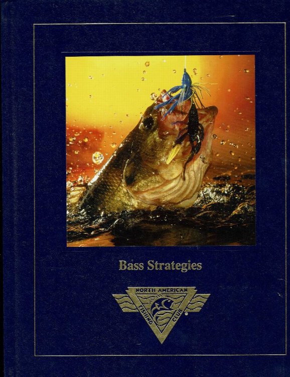 Bass Strategies