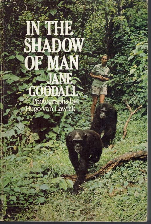 In the Shadow of Man