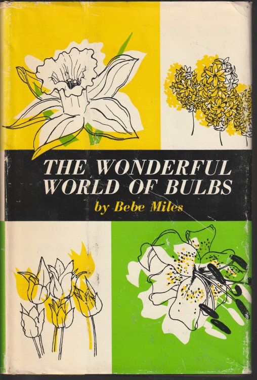 The Wonderful World Of Bulbs
