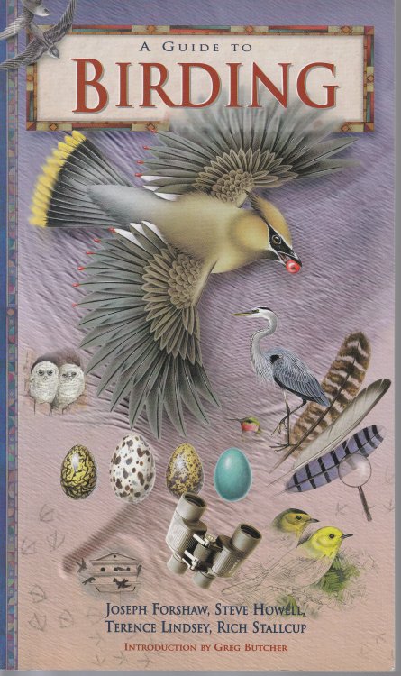 A Guide To Birding