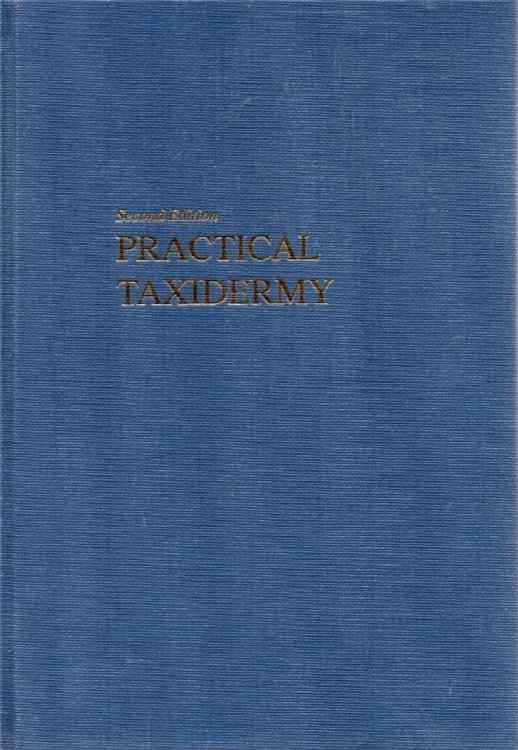 Practical Taxidermy