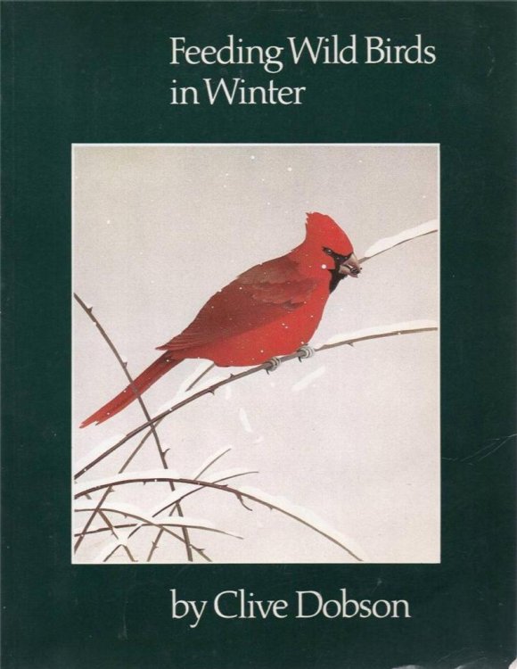 Feeding Wild Birds in Winter