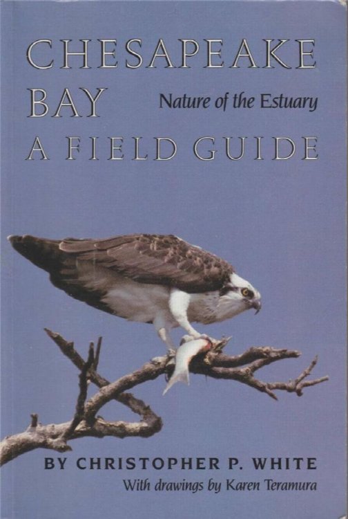 Chesapeake Bay: A Field Guide, Nature of the Estuary