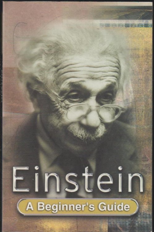 Einstein: A Beginner's Guide