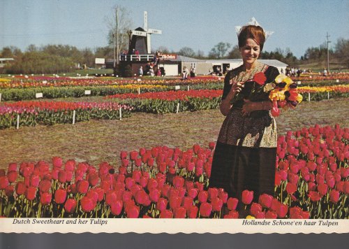 Holland, MI Dutch Sweetheart and her Tulips circa 1990 Eng/Dutch