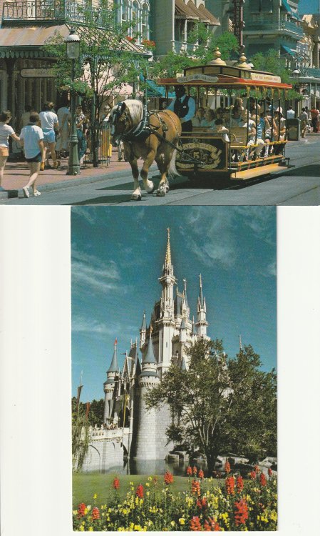 Walt Disney World circa 1990 Trolley Ride, Cinderella Castle x2 Photo Postcards