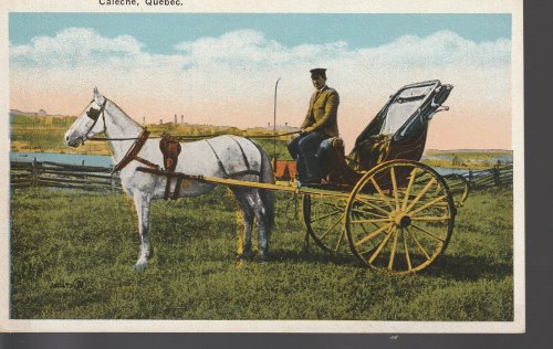 Caleche Quebec Canada, Carriage circa 1925 Photo Postcard