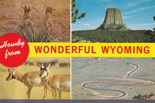Wonderful Wyoming Wildlife Rock Formation Humor 1972 Greeting Postcard