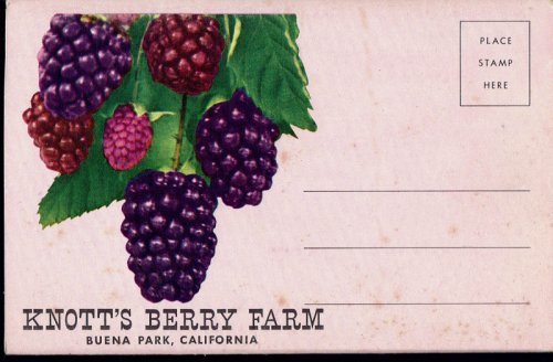 Knott's Berry Farm and Ghost Town, Buena Park, CA; Vintage Postcard Book (circa 1955)