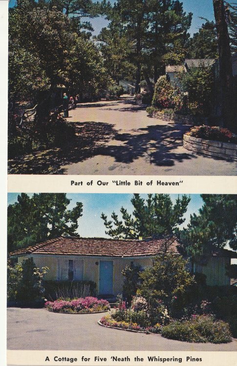 Carmel Cottage Court, Carmel By-the-sea, CA Johnny & Jinny Zack Rare circa 1960 Postcard