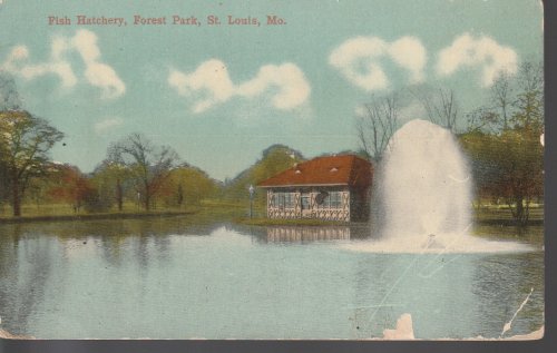 Fish Hatchery Forest Park St. Louis, MO circa 1915 Postcard