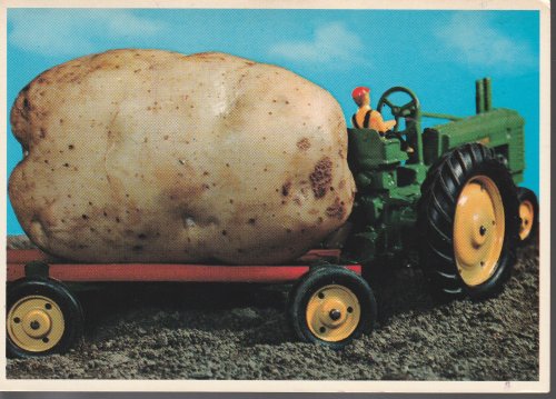 New Brunswick Potato How They Are Grown Tractor Canada Postcard circa 1970