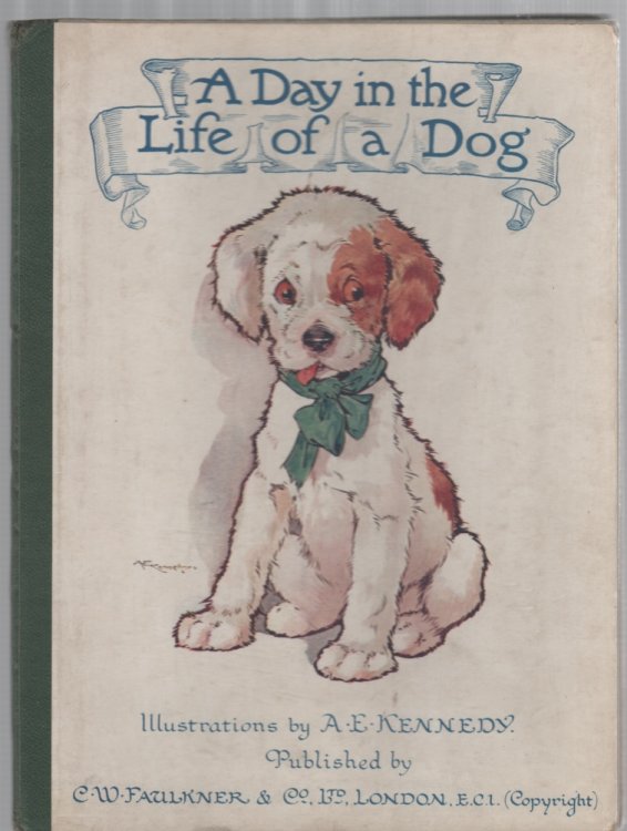 A Day in the Life of a Dog