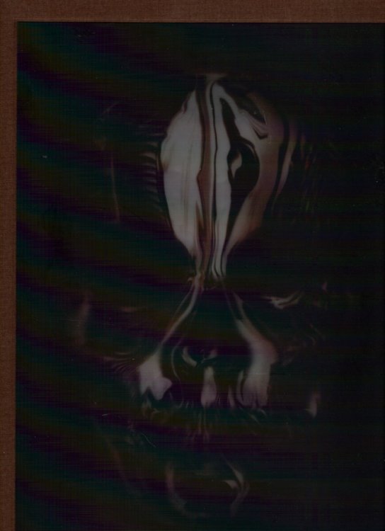 Andrew McQueen Savage Beauty