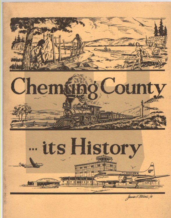 Chemung County.Its History