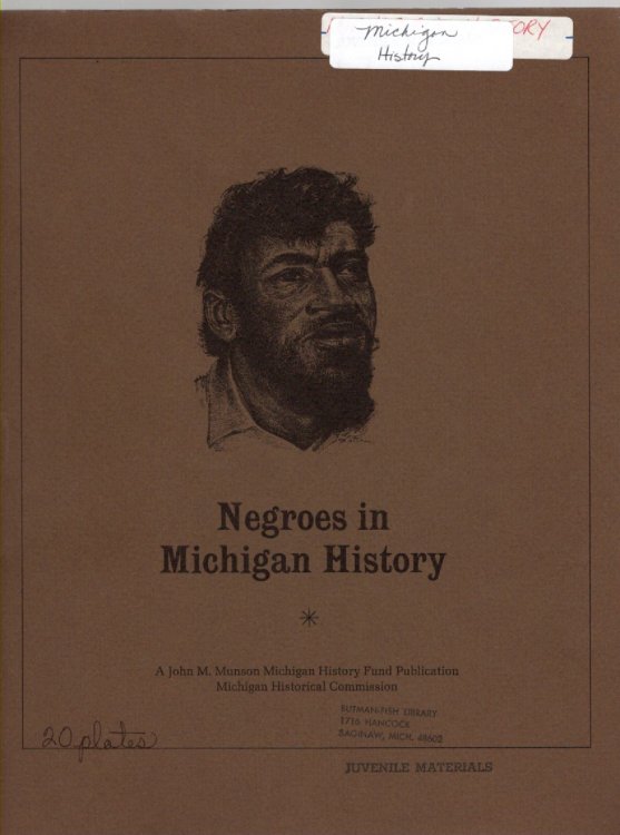 Negroes in Michigan History