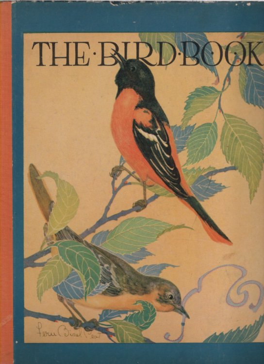 The Bird Book Observations of Bird Life