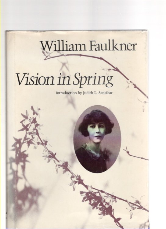 Vision in Spring