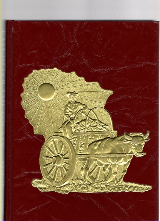 East Otter Tail County History (Volume II)