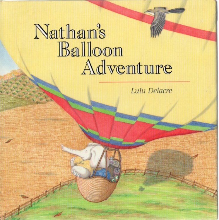 Nathan's Balloon Adventure
