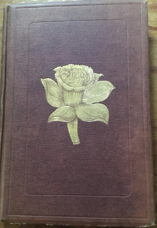 The Narcissus: Its History and Culture With Coloured Plates And Descriptions Of All Known Species And Pricipal Varieties To Which Is Added A Scientific Review Of The Entire Genus