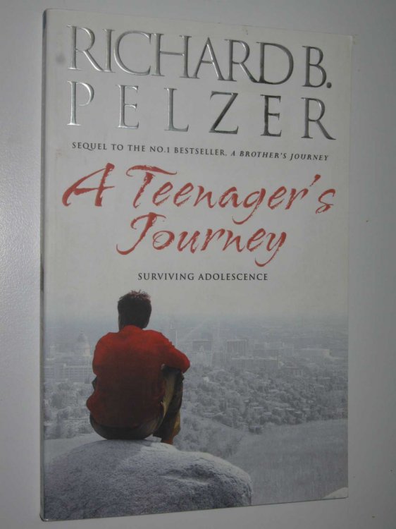 A Teenager's Journey: Surviving Adolescence