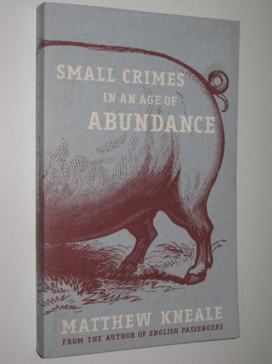 Small Crimes in an Age of Abundance