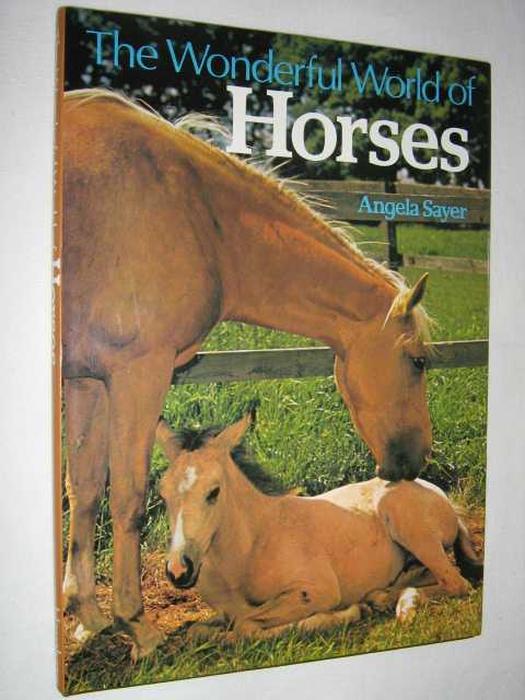 The Wonderful World of Horses