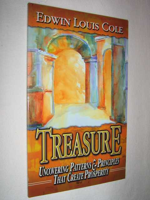 Treasure : Uncovering Patterns & Principles That Create Prosperity