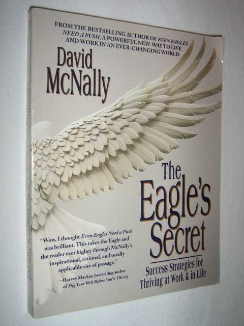 The Eagle's Secret : Success Strategies for Thriving at Work & in Life