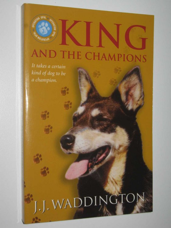 King And The Champions