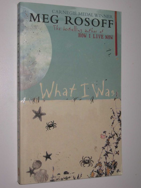 What I Was