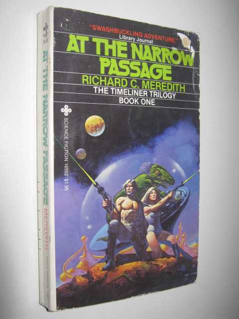 At the Narrow Passage - Timeliner Trilogy #1