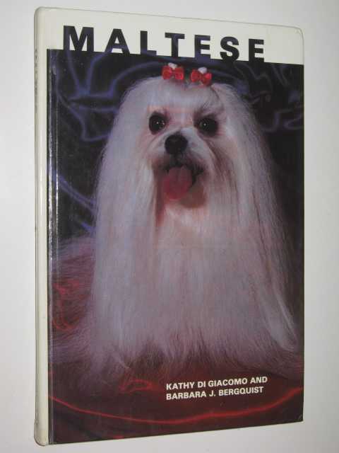 Maltese