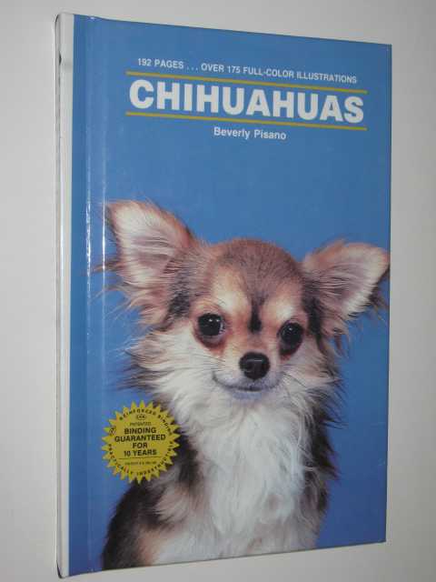 Chihuahuas