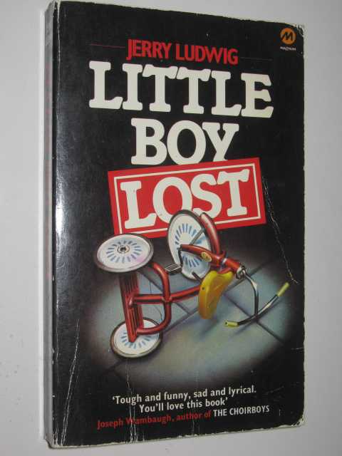 Little Boy Lost