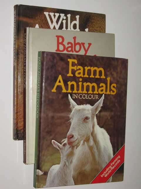 Farm Animals, Baby Animals & Wild Animals in Color