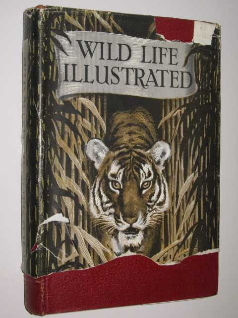 Wild Life Illustrated