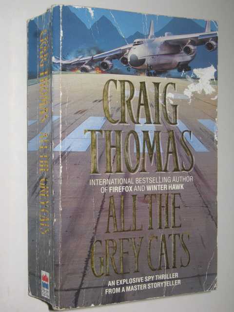 All the Grey Cats - Aubrey and Hyde Thriller #4