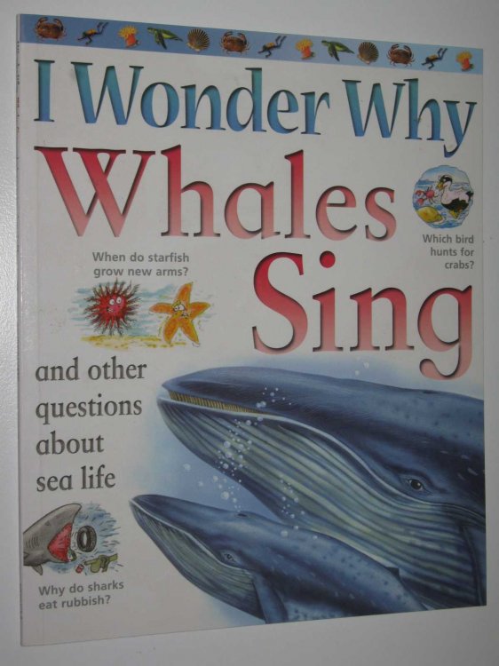 I Wonder Why Whales Sing