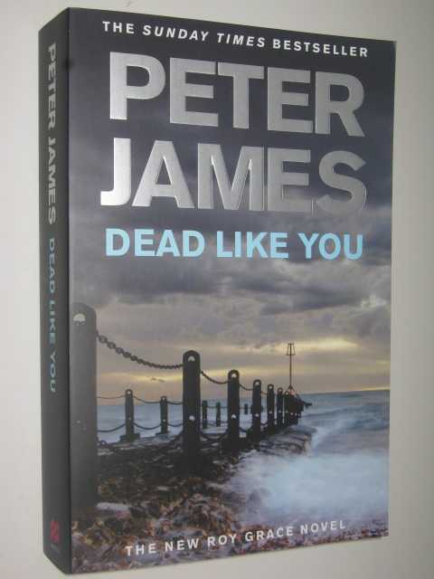 Dead Like You - Roy Grace Series #6