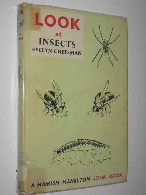Look at Insects