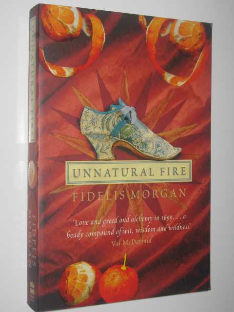 Unnatural Fire - Countess Ashby de la Zouche Mystery