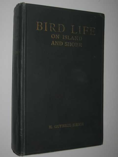 Bird Life on Island and Shore