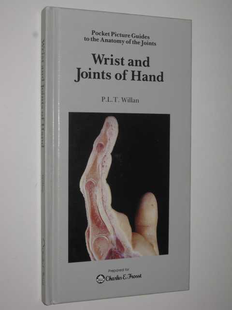 Wrist And Joints Of Hand