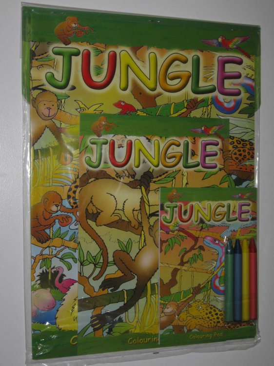 Jungle Colouring and Activity Play Pack