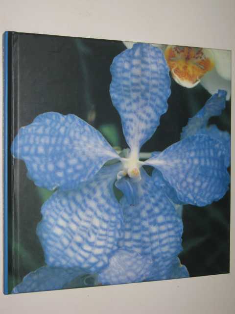 The Colour Garden (Blue)